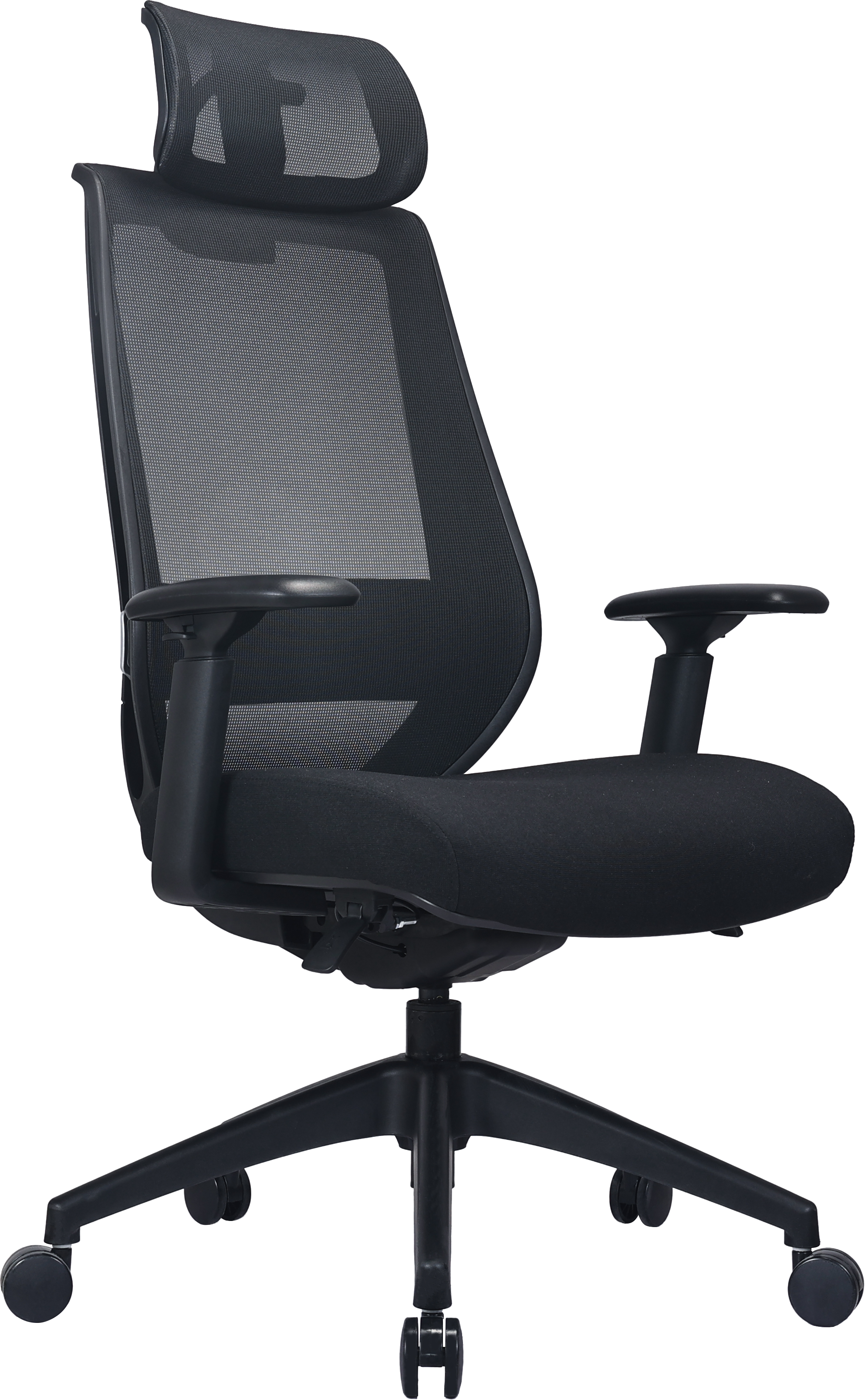 เก้าอี้ทำงานเพื่อสุขภาพ LUNIO ERGO APOLLO SMART X2 CHAIR สีดำ BLACK EDITION